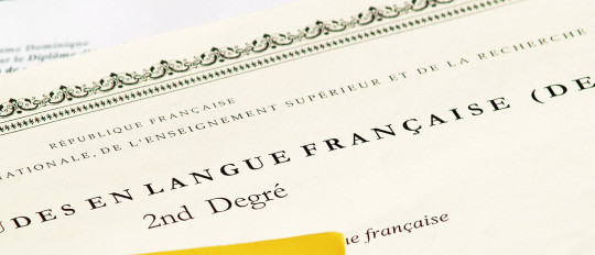 Pourquoi réussir l’examen D.E.L.F. ?