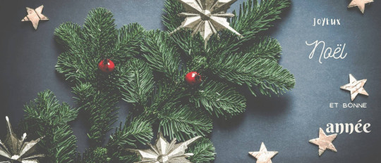 Vocabulaire et traditions des fêtes de fin d'année