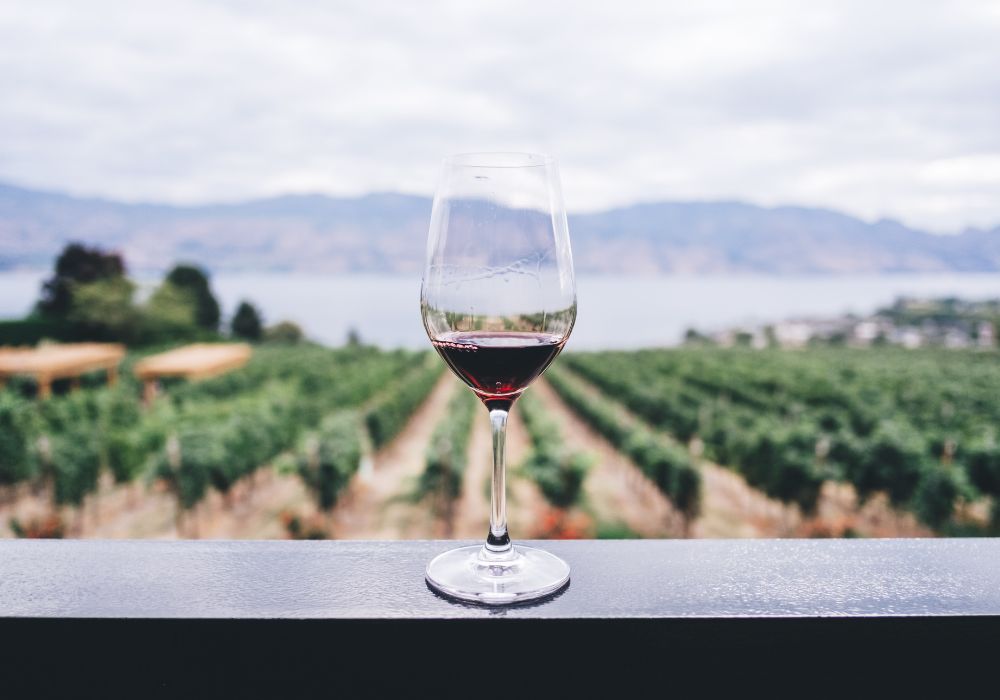 Dégustations de vin sur la Côte d'Azur : explorez les terroirs de Provence