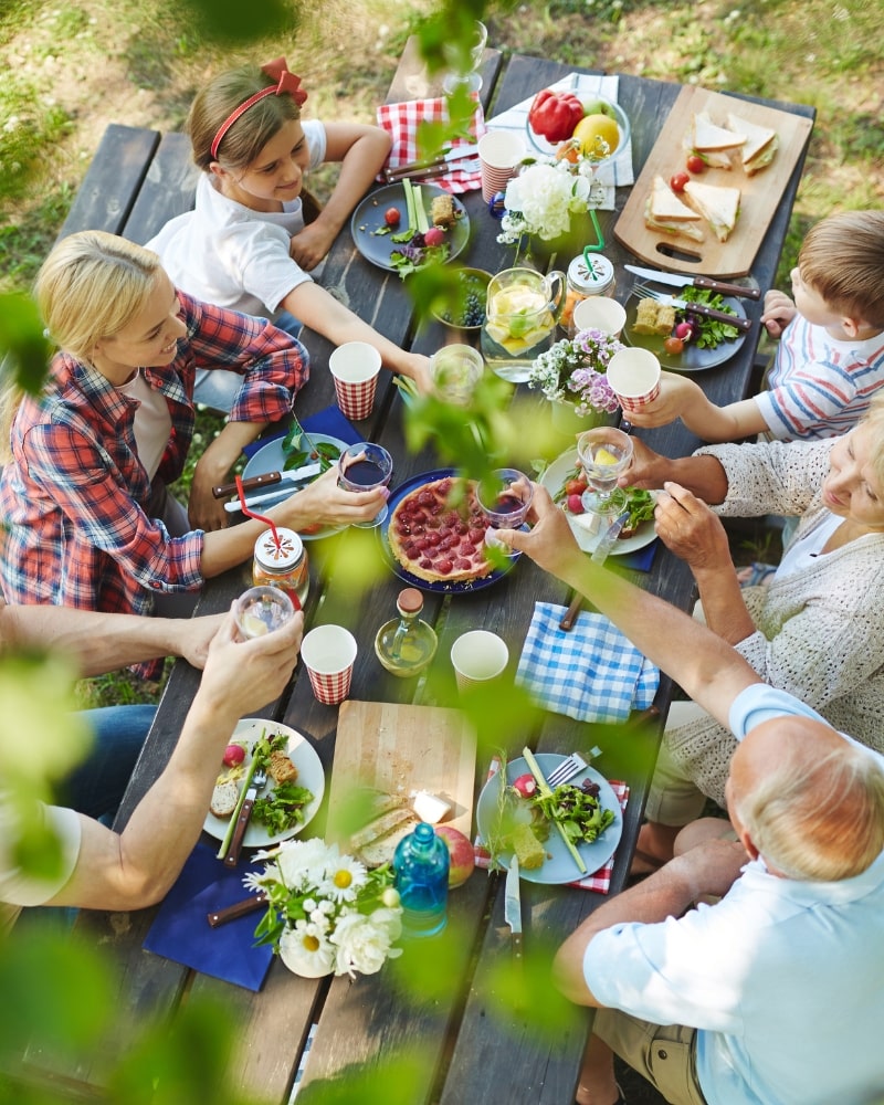 Host families