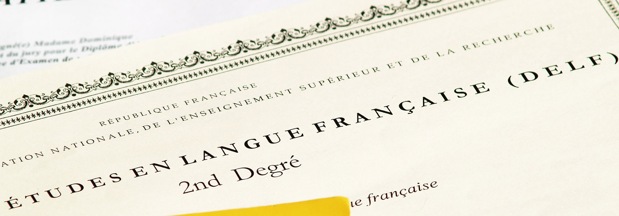 Pourquoi réussir l’examen D.E.L.F. ?