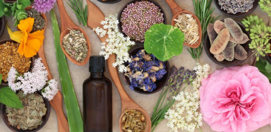 Grasse capitale du parfum : le voyage des sens