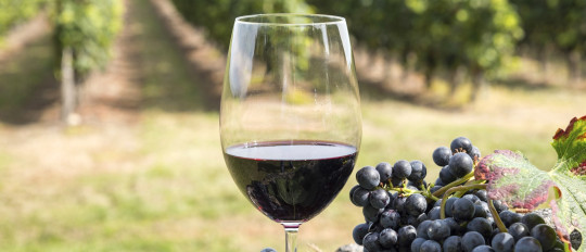 Savoir-vivre à la française : parler français autour d’un verre de vin !